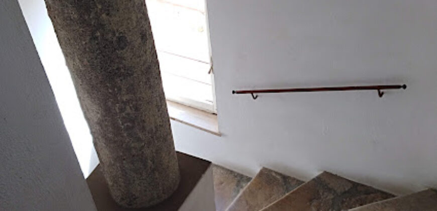 Il Nido dell’Artista